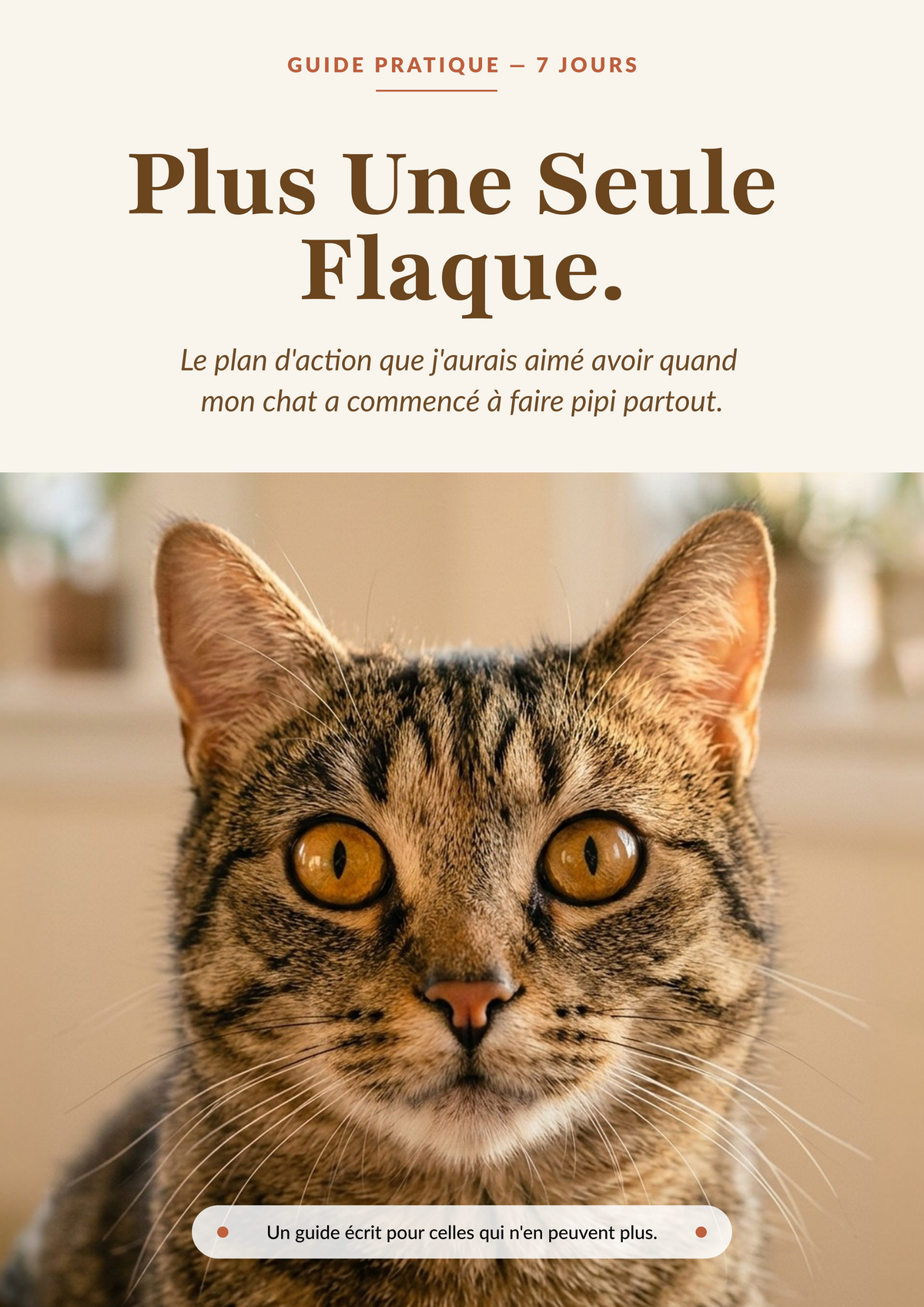 Plus Une Seule Flaque: Le plan en 7 jours